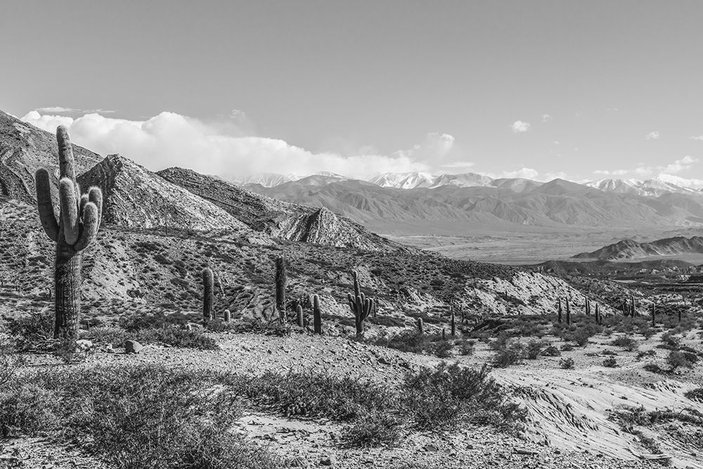 Similar wall art painting: 646497