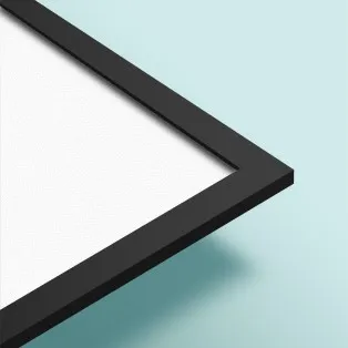 Frame