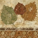 Nature Category