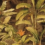 Tropical Category