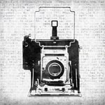 Vintage Category