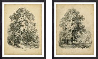 Set of wall art painting,The Sycamore