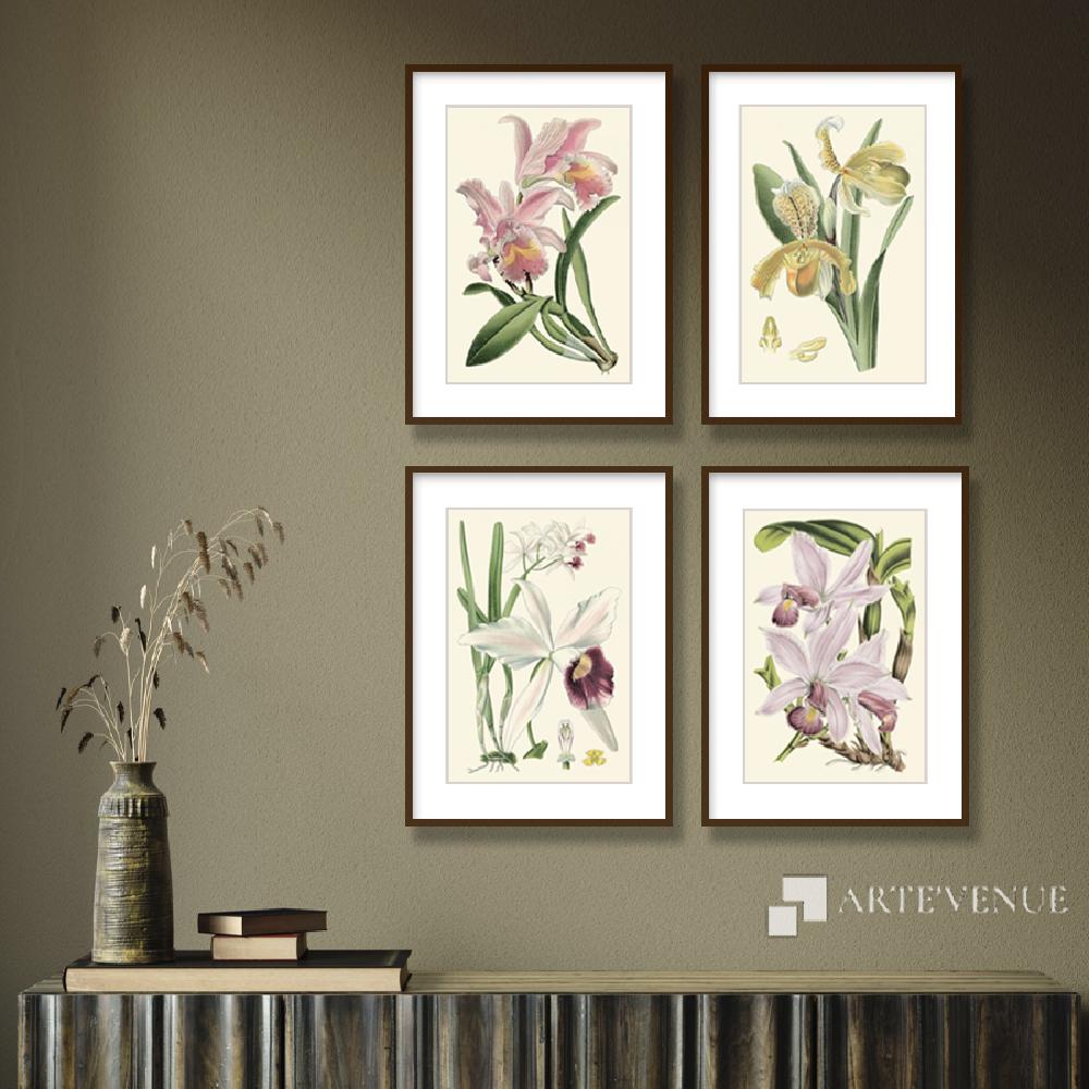 Set of wall art painting,Delicate Orchid 