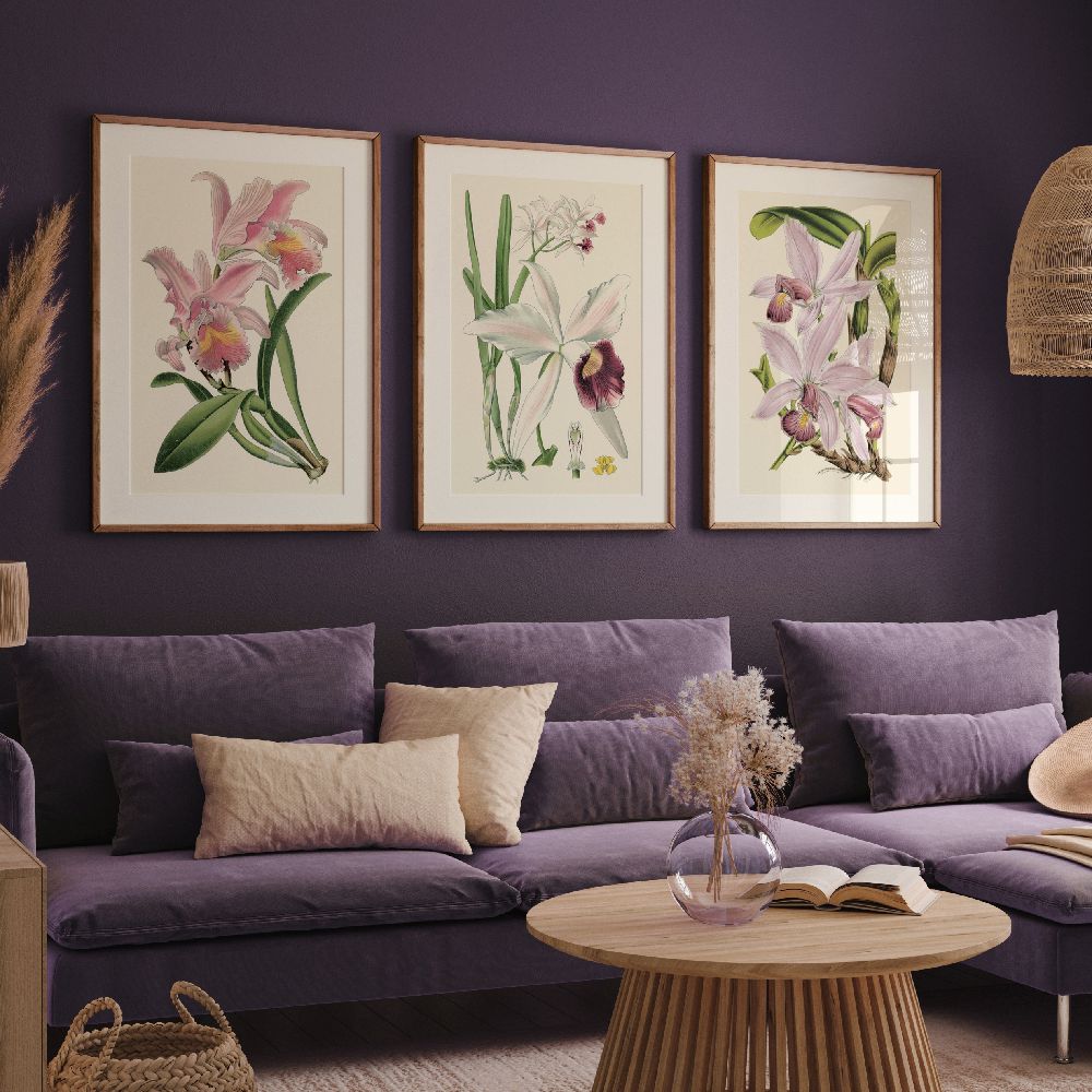 Set of wall art painting,Delicate Orchid